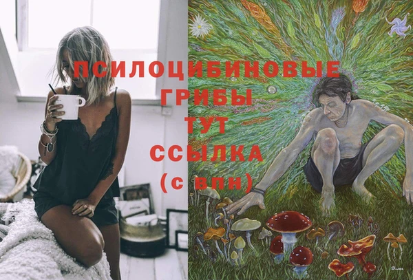 каннабис Абаза
