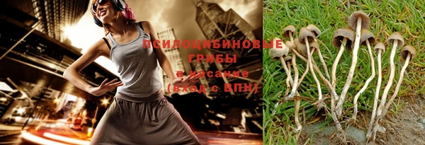 спайс Абдулино